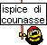 ispice di counasse